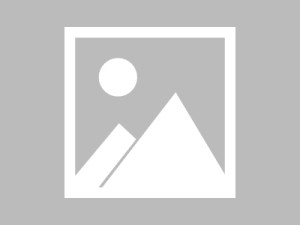 圈内人在今日凌晨遭遇猛料 热血沸腾，蘑菇影视在线观看全网炸锅，详情围观