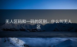 无人区码和一码的区别，什么叫无人区