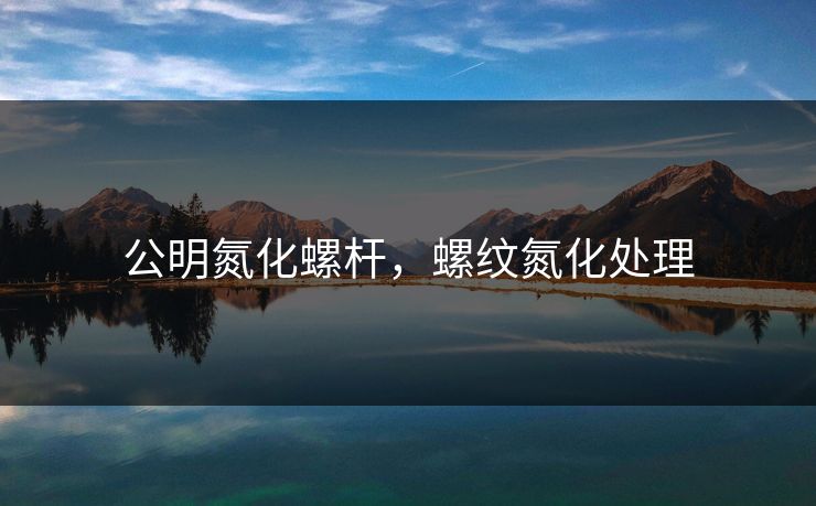 公明氮化螺杆，螺纹氮化处理