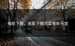 电影下栽，电影下载迅雷电影天堂