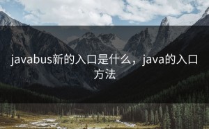 javabus新的入口是什么，java的入口方法