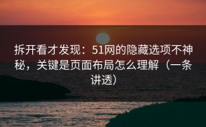 拆开看才发现：51网的隐藏选项不神秘，关键是页面布局怎么理解（一条讲透）