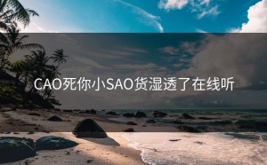 CAO死你小SAO货湿透了在线听
