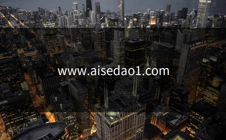 www.aisedao1.com